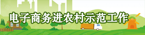 電子商務進農村示范工作