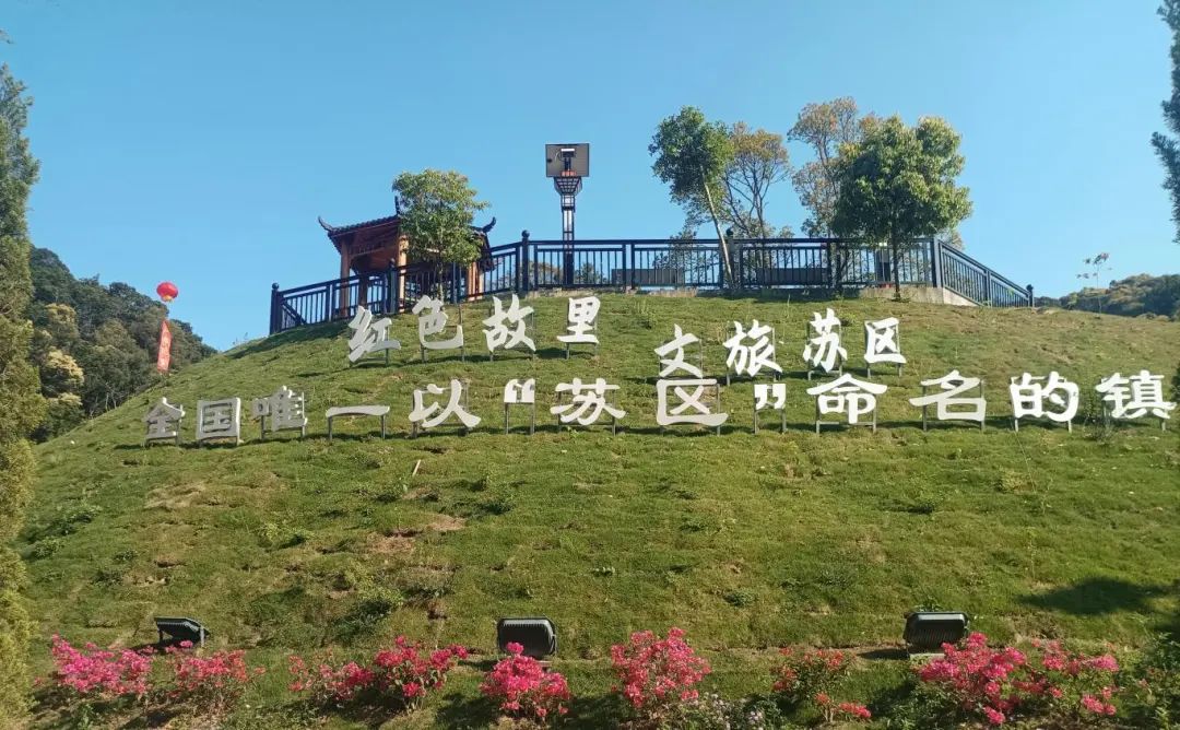 紫金金融監管支局：以金融之力支持革命老區振興