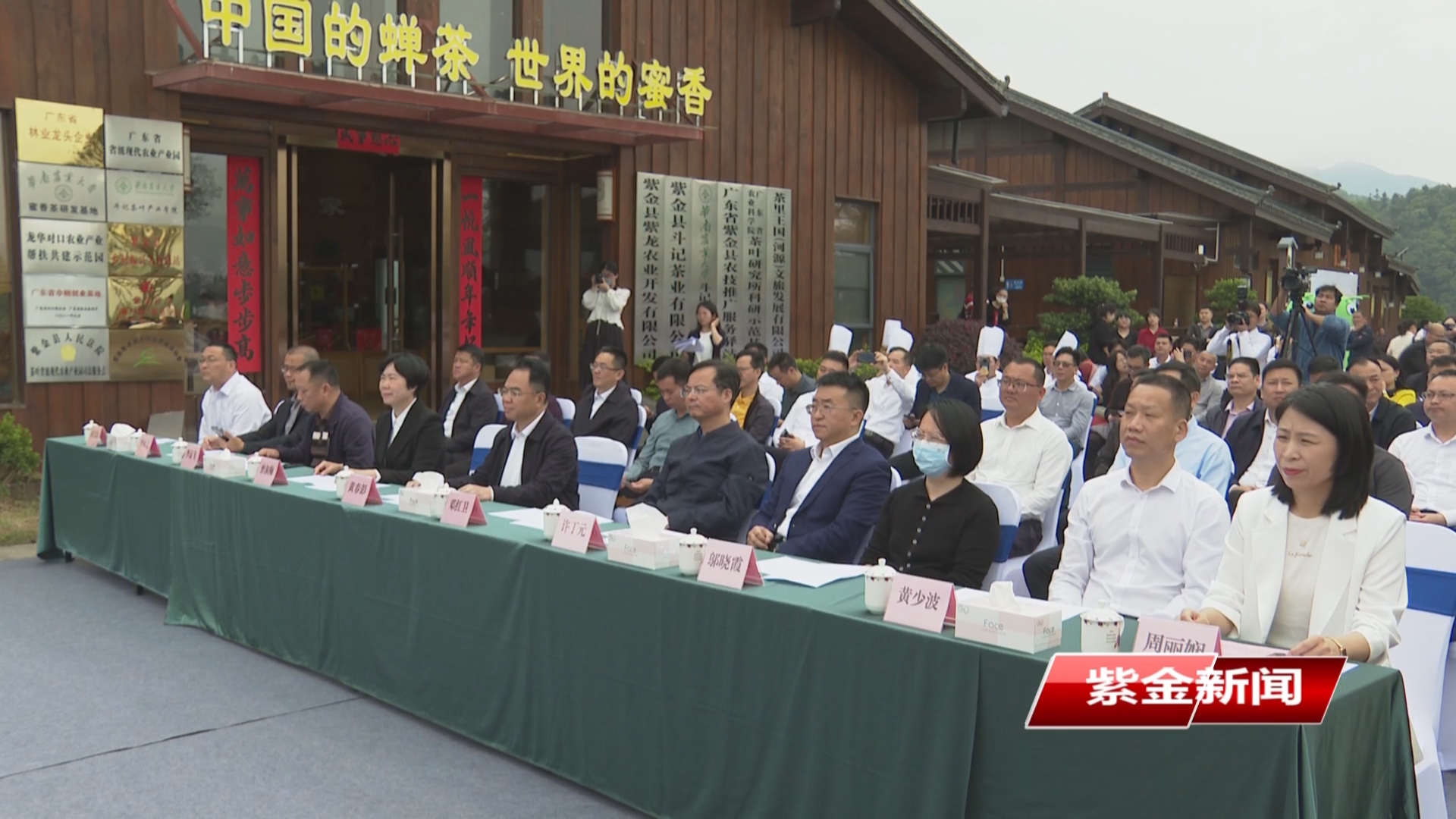 紫金啟動2025年頭春茶文旅活動周