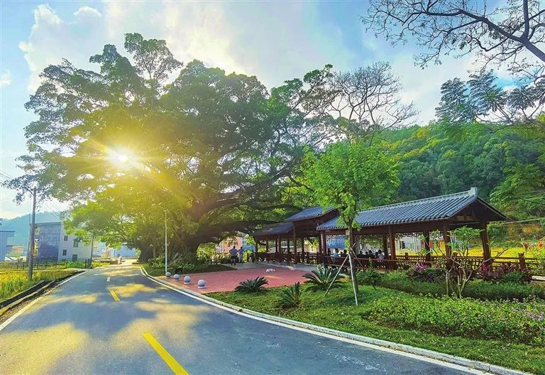 【文明紫金】黃塘鎮嶂拔村：以村規民約破陋習樹新風
