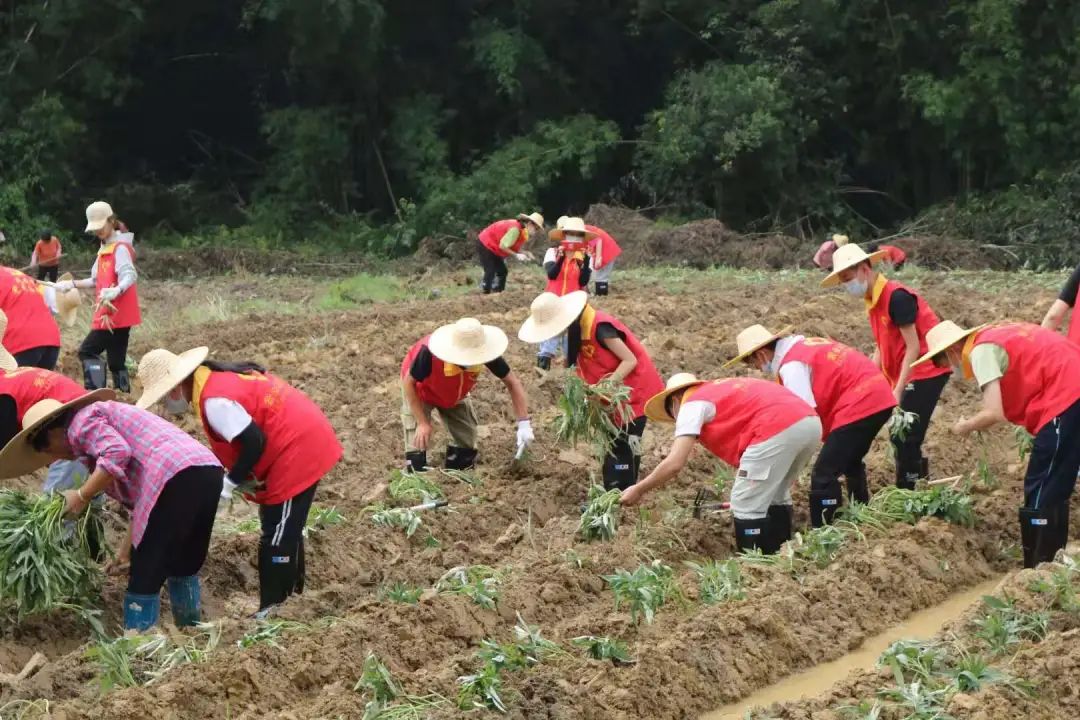 轉存圖片